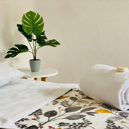 Casa Del Centro Bed & Breakfast มอเรเลีย ภายนอก รูปภาพ