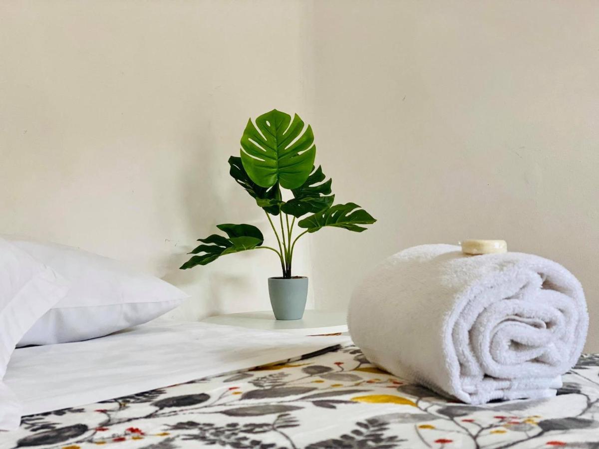 Casa Del Centro Bed & Breakfast มอเรเลีย ภายนอก รูปภาพ